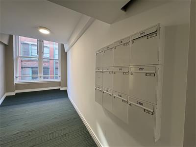 Picture 12